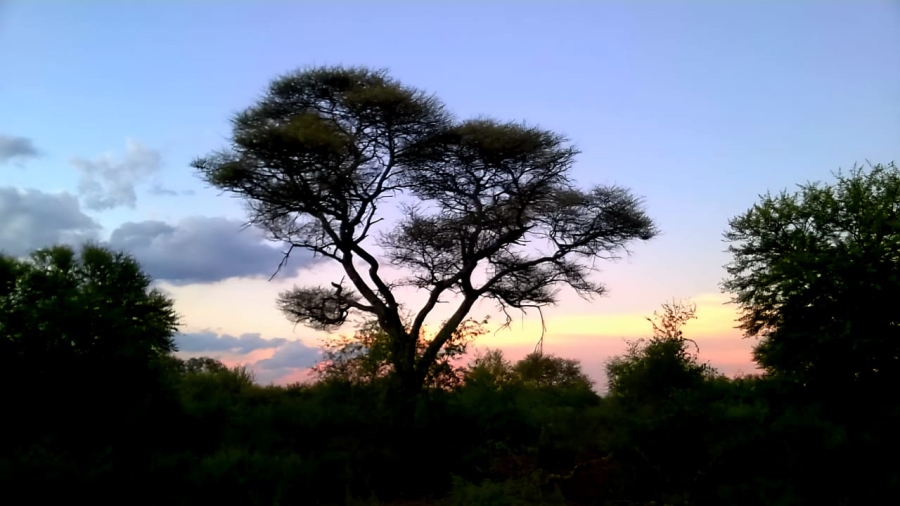 Commercial Property for Sale in Mamogaleskraal AH North West